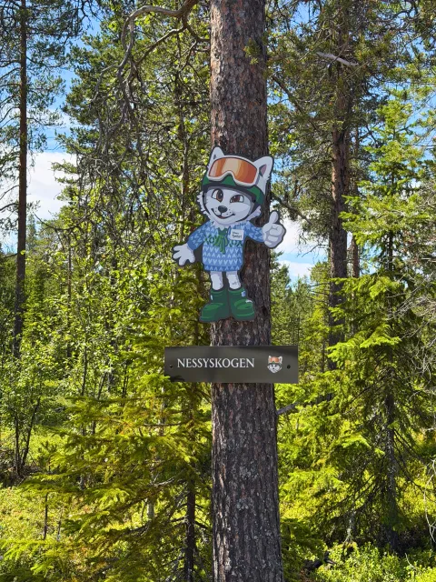 Nessyskogen inngang