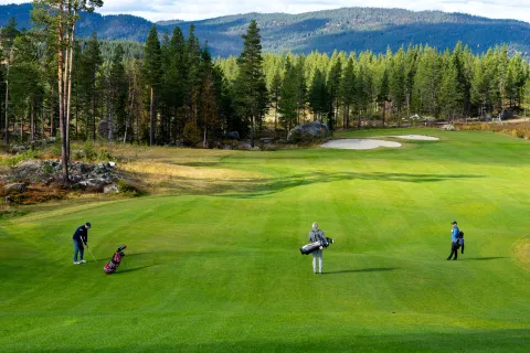 3 golfere på Nesfjellet Golf