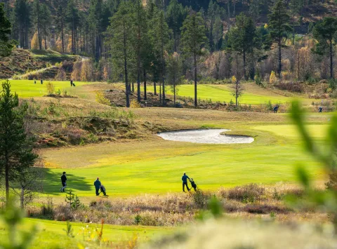 Tre golfere på Nesfjellet Golf i solskinn