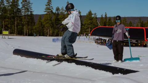 Nesfjellet parken skikjører på rail