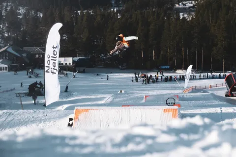 Skihopper i lufta